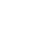 aquarian drum heads